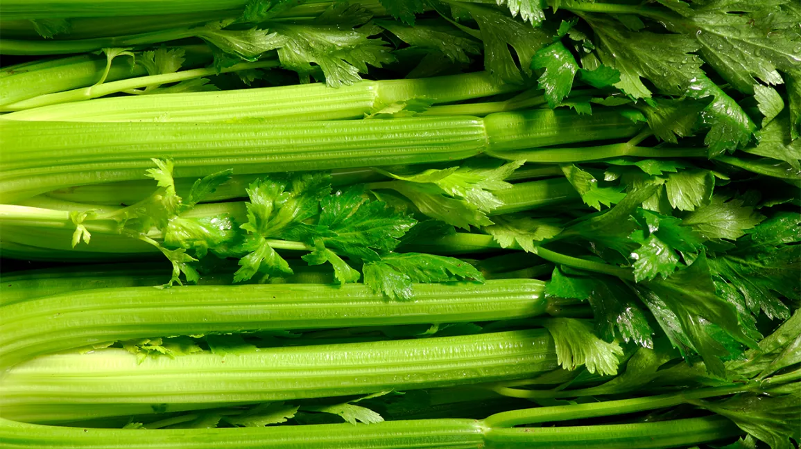 Celery